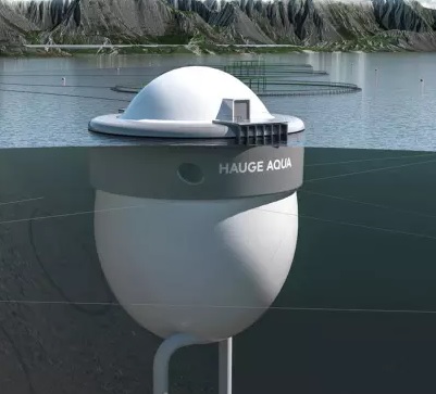 Marine Harvest Gets Approval to Develop Egg Farming System to Combat Sea Lice